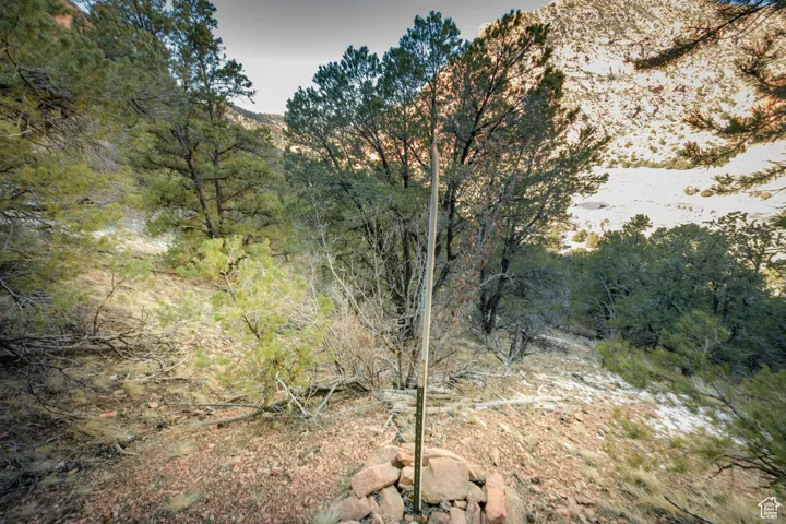 View of landscape featuring a view of trees