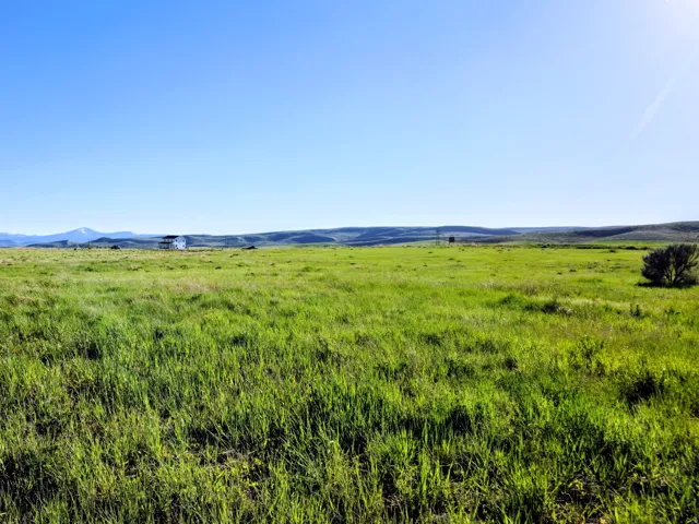 Expansive green pastureland with distant mountain ranges