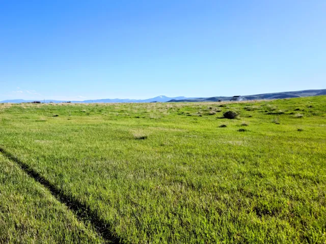 Expansive green grassland with a clear sky backdrop, featuring a visible tire track path, distant hills, and a partial fence line