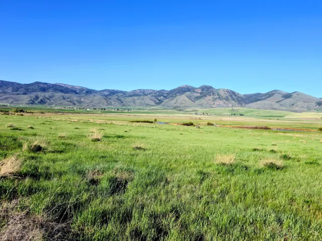 Expansive grassy terrain extending to a distant mountain range