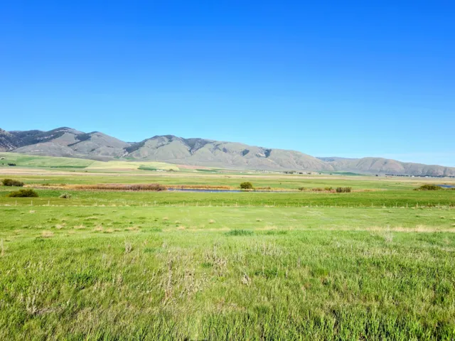 Expansive green fields with distant mountains under a clear blue sky