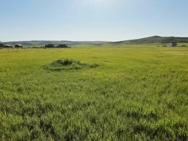 Expansive green field with distant rolling hills and a clear sky