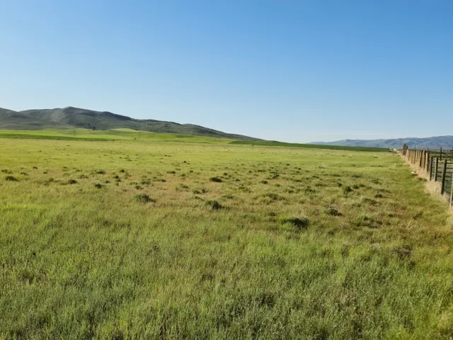 Expansive green fields featuring a perimeter fence and distant mountains