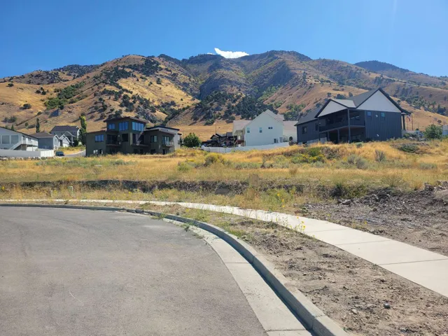 View of mountain background