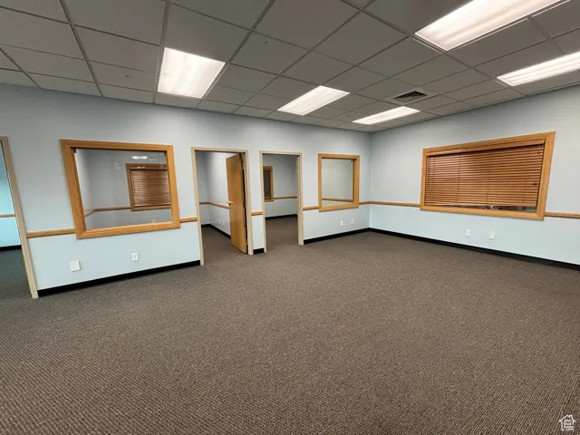 Suite 217