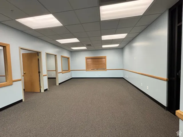 Suite 217