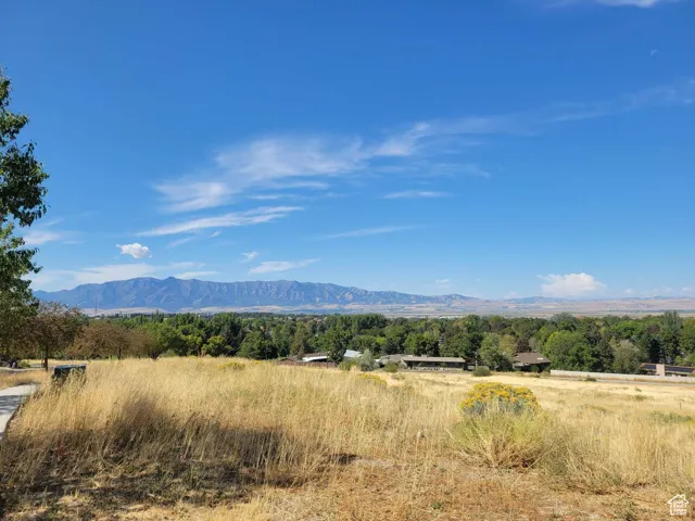 View of mountain background