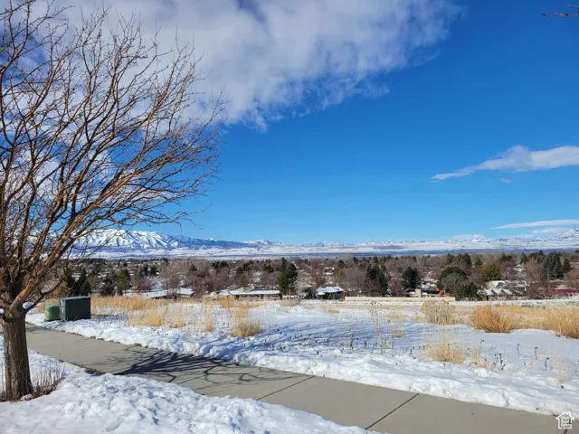 View of property's community featuring a mountain view
