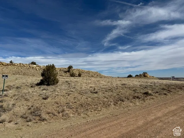 View of local wilderness