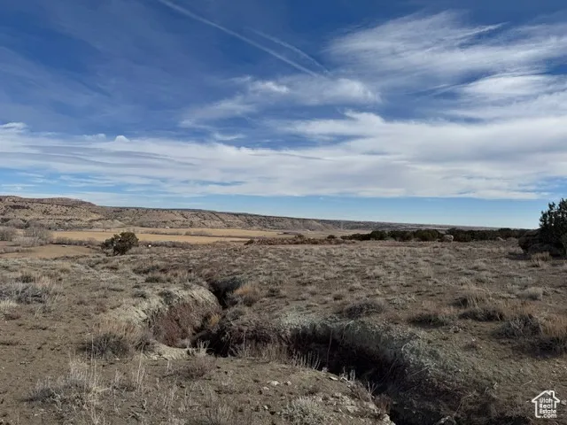 View of local wilderness