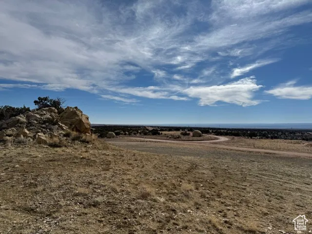 View of local wilderness with a rural view