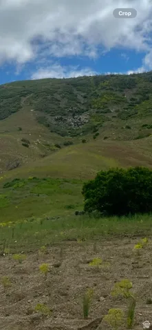 View of nature