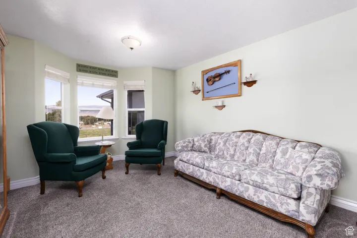 Living area featuring carpet and baseboards