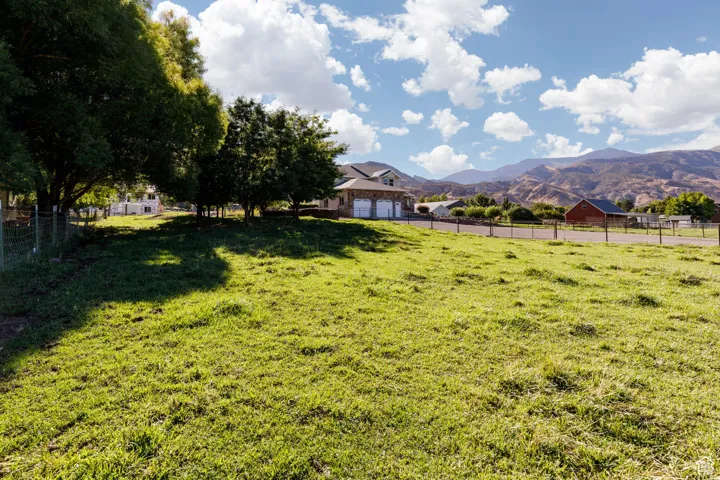 View of yard featuring a mountain view and a view of rural / pastoral area