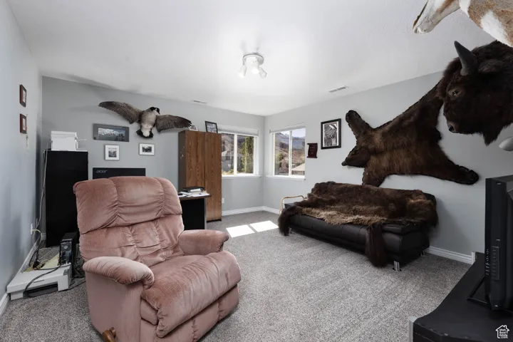 Living room featuring carpet and baseboards