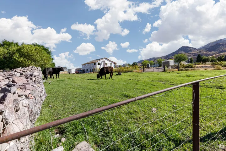 View of yard with a view of rural / pastoral area
