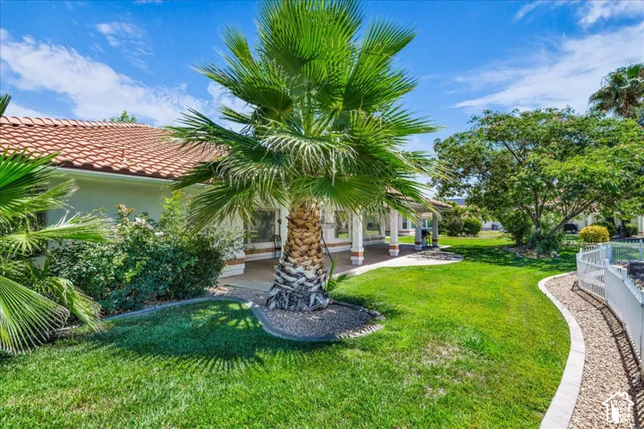 Expansive green lawn with a mature palm tree and a stone-lined pathway
