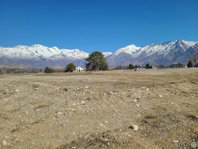 View looking north from south edge of lot 5