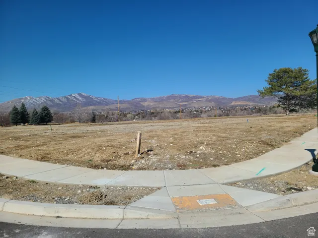 View looking northwest from southeast corner of lot 5