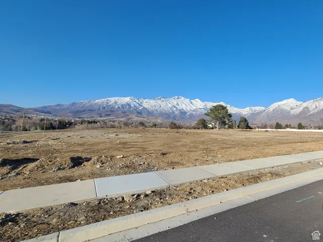 View looking north from east edge of lot 5