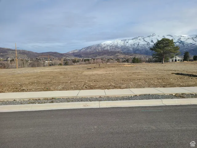 View looking north from south edge of lot 5