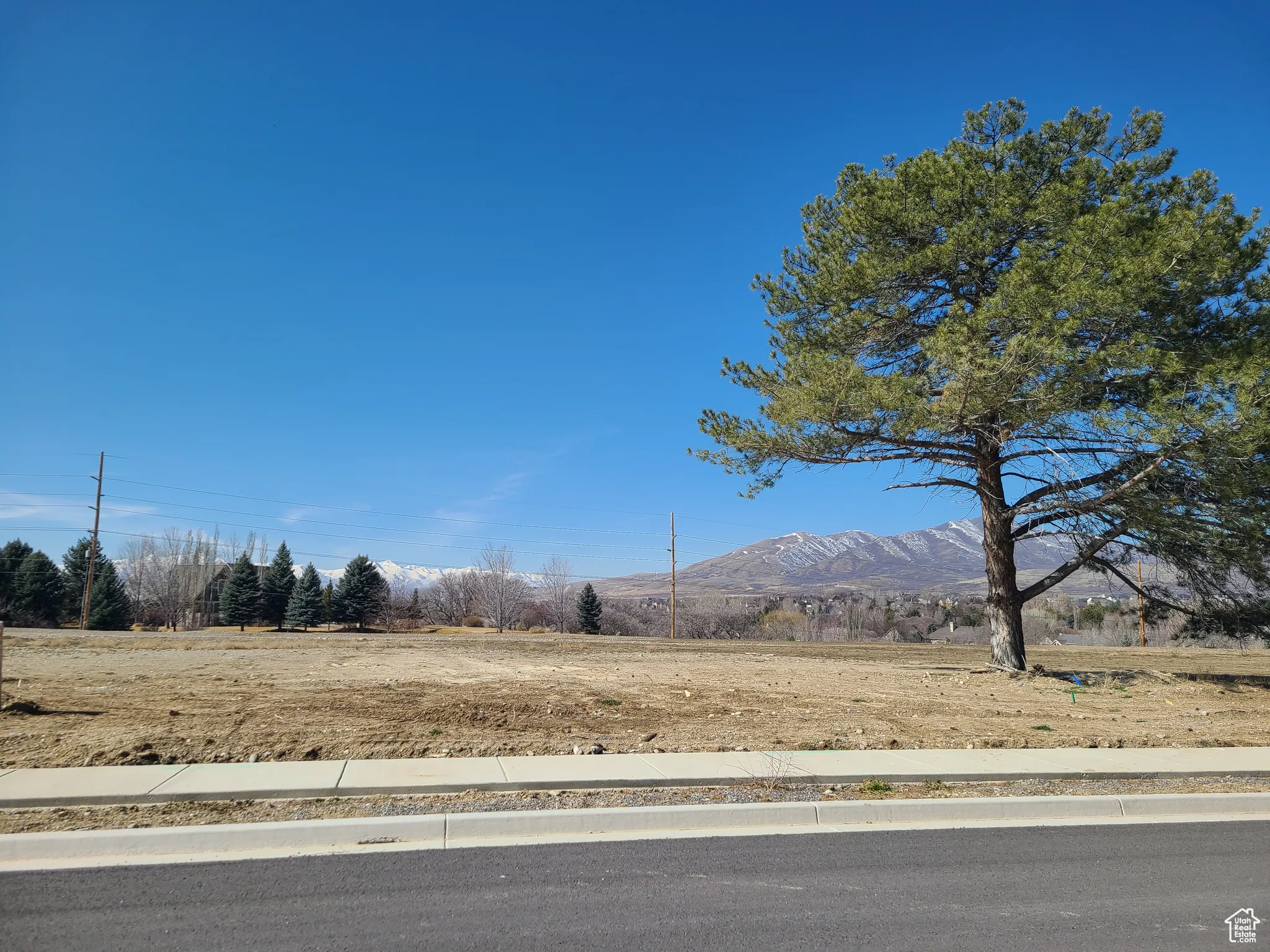 View looking west from east edge of lot 6