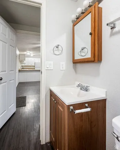 Bathroom with wood finished floors and vanity