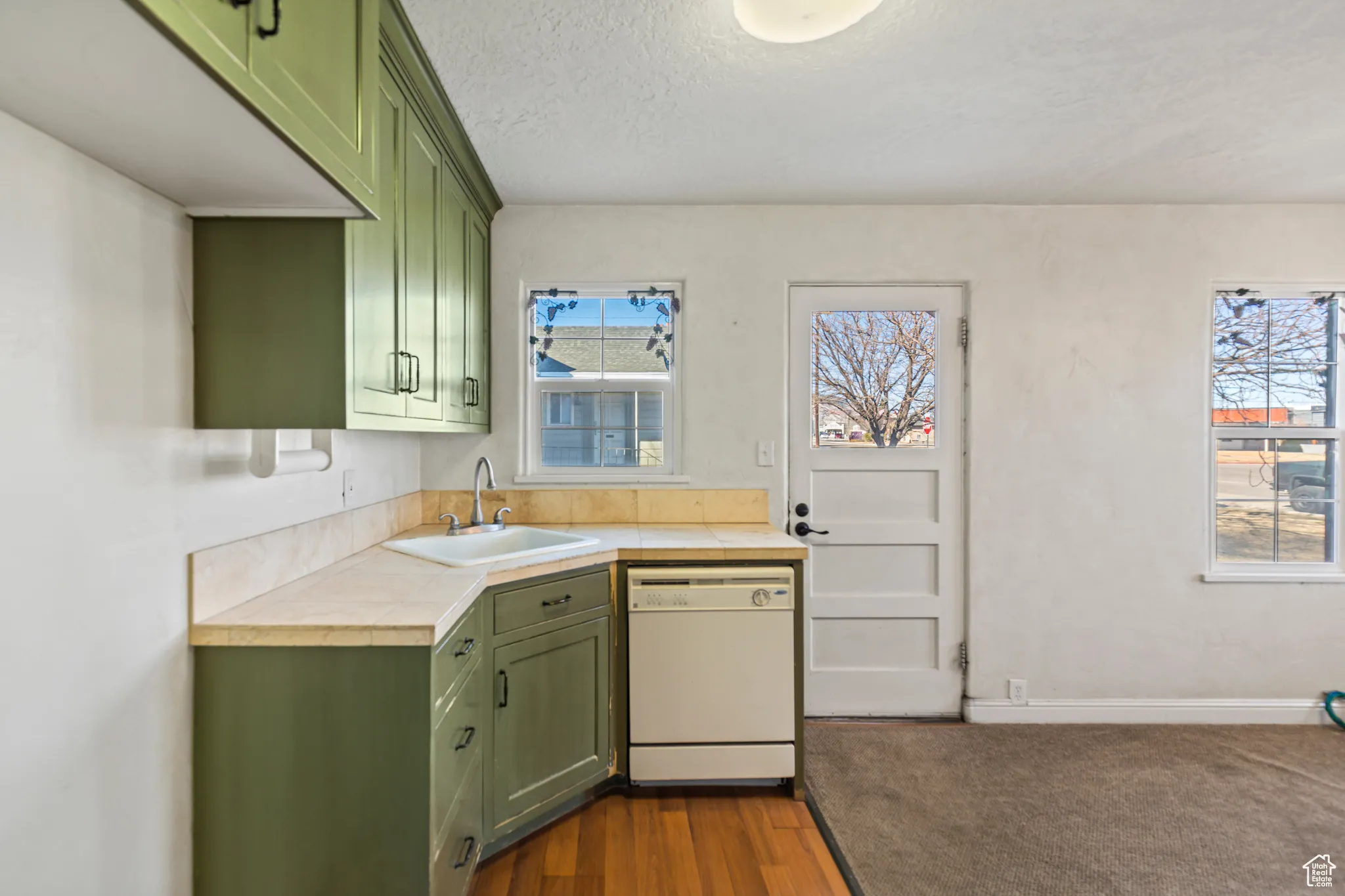 Kitchen featuring a sink, plenty of natural light, dishwasher, and green cabinetry