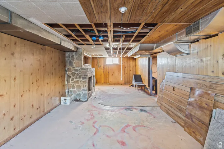 Basement with wooden walls
