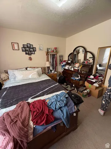 Carpeted bedroom with a textured ceiling