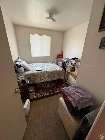 Bedroom with a textured ceiling, a textured wall, and carpet floors