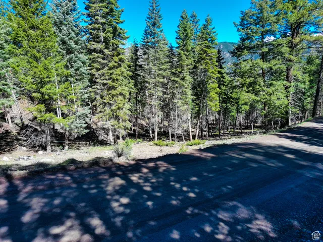 View of road featuring a view of trees