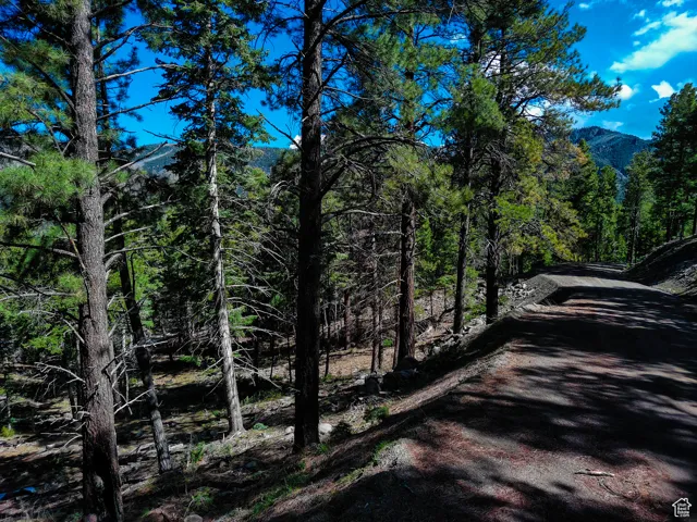 Exterior space featuring a forest view