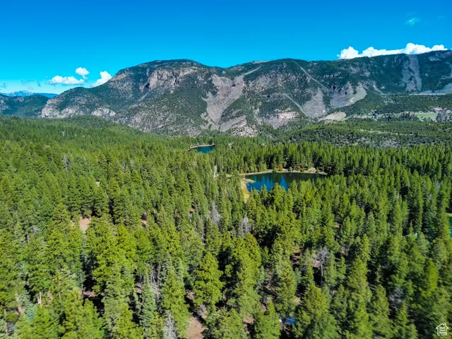 Property view of mountains with a view of trees and a water view