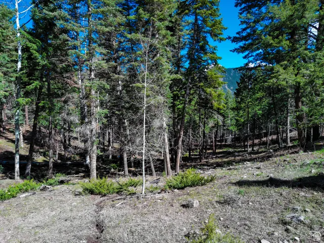 View of landscape with a wooded view