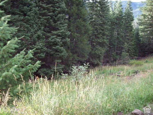 View of landscape featuring a view of trees