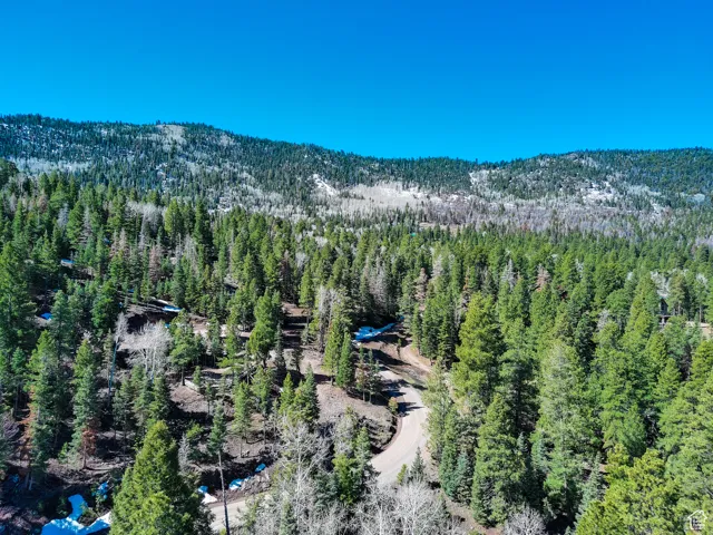 Aerial view featuring a view of trees and a mountain view