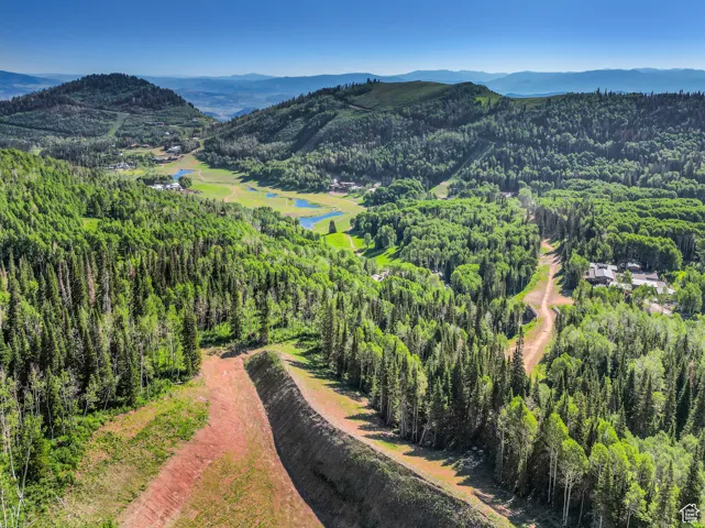 Bird's eye view featuring a view of trees and a mountain view