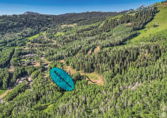 Aerial view featuring a mountain view and a wooded view