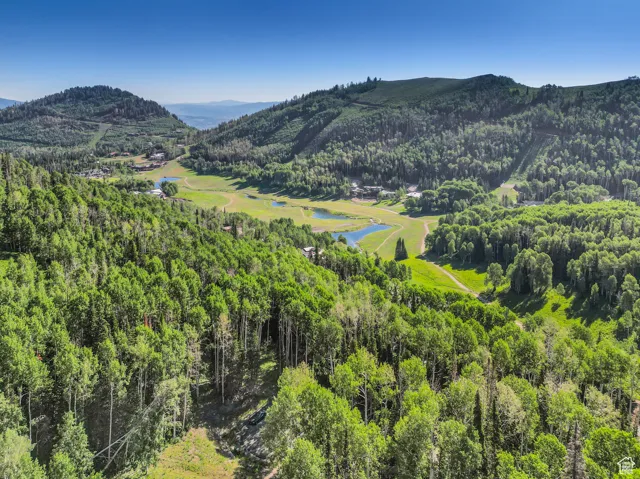 Property view of mountains with a water view and a wooded view