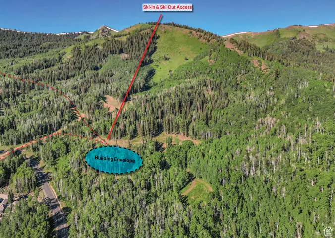 Bird's eye view featuring a mountain view and a wooded view