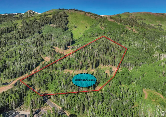 Aerial view featuring a mountain view and a wooded view