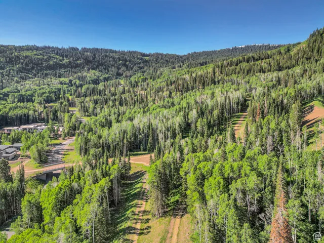 Aerial view featuring a wooded view