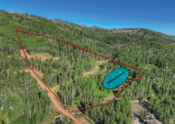 Bird's eye view with a mountain view and a forest view