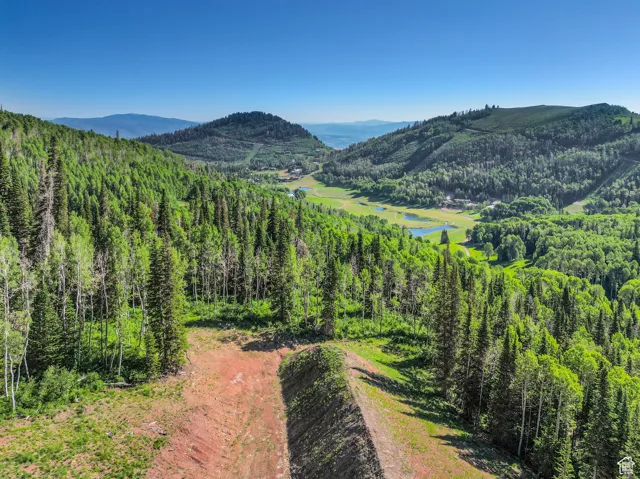 Mountain view featuring a view of trees and a water view