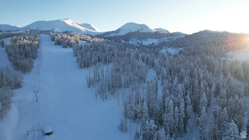 Property view of mountains with a view of trees
