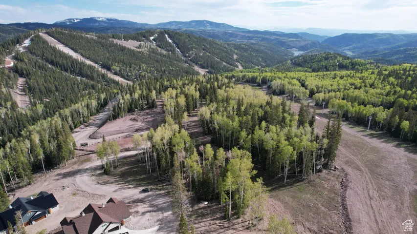 Drone / aerial view with a wooded view and a mountain view