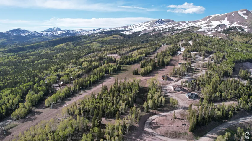 Bird's eye view featuring a forest view and a mountain view