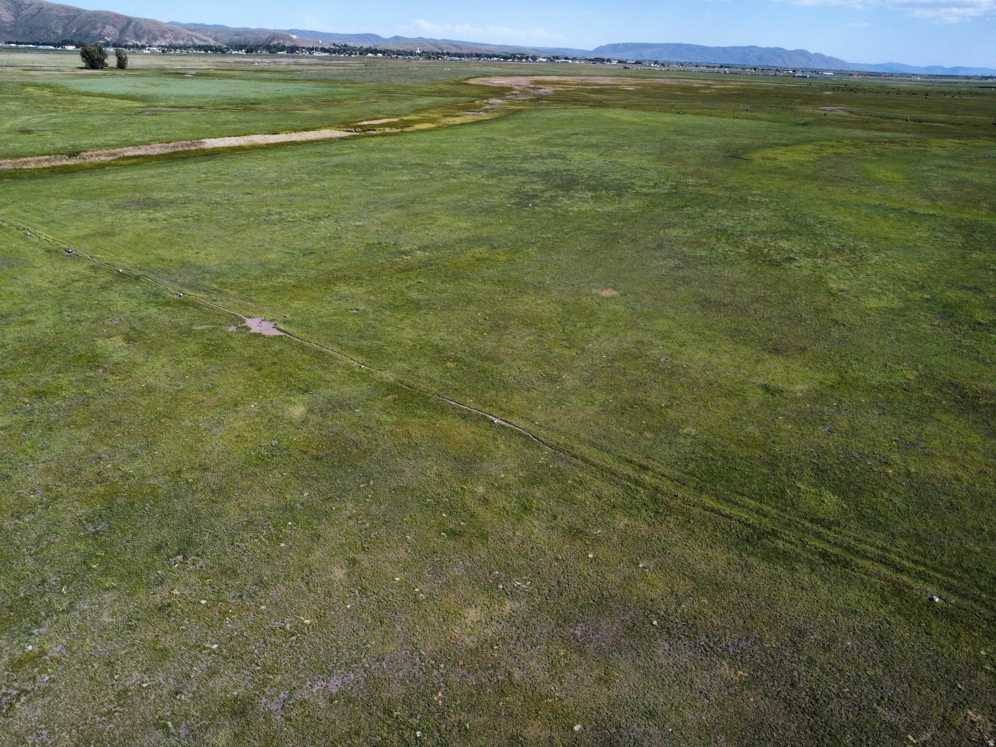 Expansive green field with distant mountain backdrop