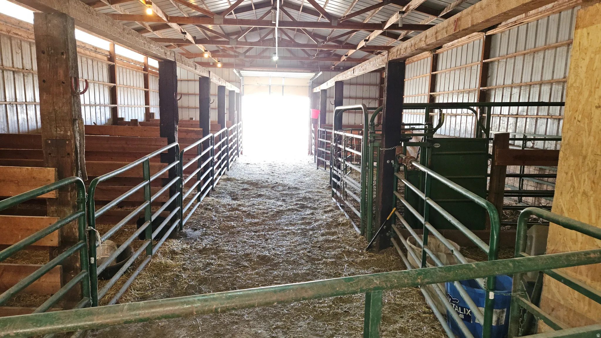 Barn interior featuring substantial wood post-and-beam construction, metal wall panels, a high open ceiling, and multiple metal corrals